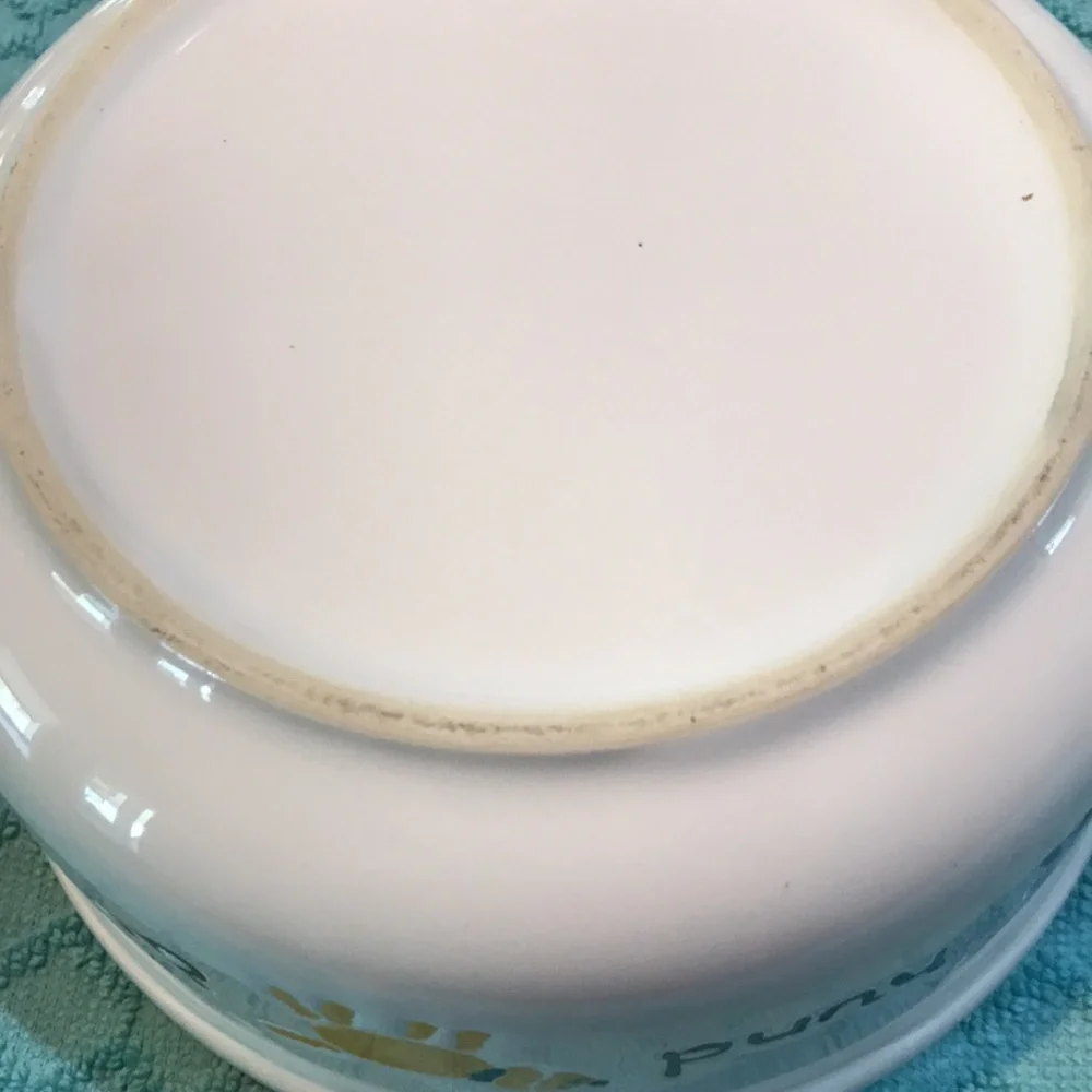 TWO DOG BOWLS